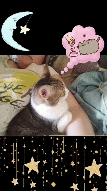 Tuni Sleeping in my arms surounded by stars and a dream bubble of pusheen
